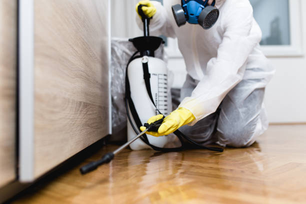 Best Best Pest Control Companies  in Manistique, MI