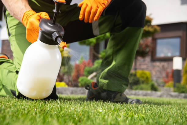 Best Residential Pest Control  in Manistique, MI
