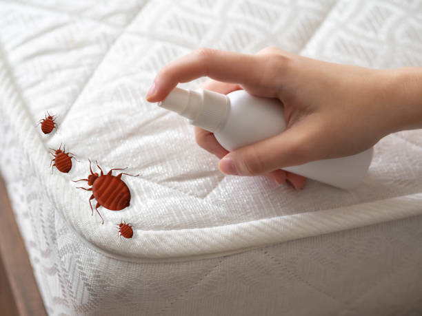 Best Exterminator Services  in Manistique, MI