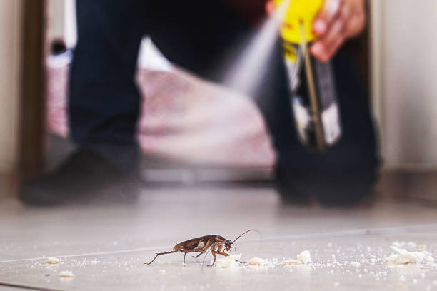 Pest Control for Restaurants in Manistique, MI