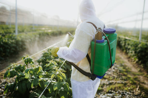 Best Emergency Pest Control  in Manistique, MI